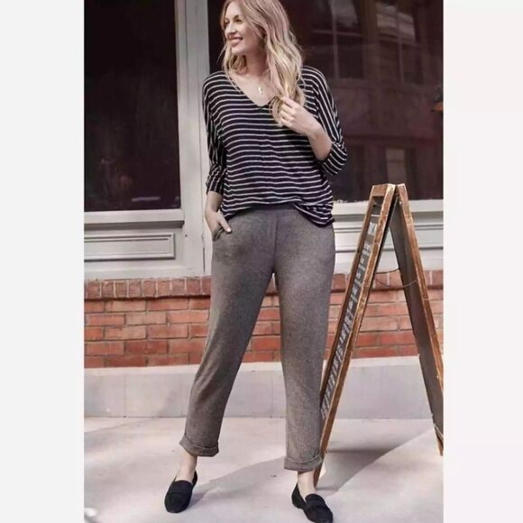 J. Jill Jogger Pants XL PETITE Wearever Cuffed Taupe Pull-On Stretch Pockets NWT - Picture 3 of 15